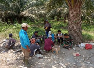 Koptu Edi Babinsa Koramil 426-02/Menggala, Kunjungi Warga Di Kebun Sawit