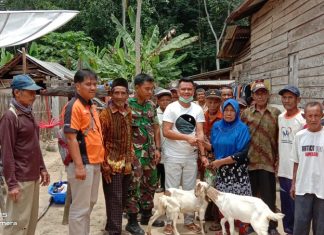 Babinsa Koramil 426-01/Mesuji Dampingi Kapala Desa Serahkan Bantuan Kambing.