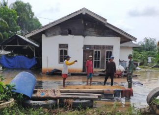 Akibat Curah Hujan Tinggi Dua Desa di Mesuji Terendam Air, Kata Danramil 426-03 Rawajitu.