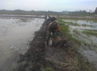Koptu Dedi Babinsa Koramil 426-03 Rawajitu Bantu Warga Buat Parit Irigasi.