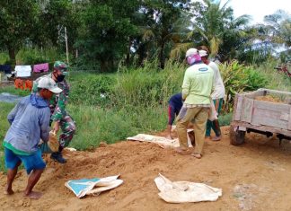 Babinsa Timbun Jalan Bersama Warga di Desa Sidang Way Puji