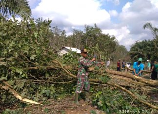 Antisipasi Sengatan Listrik Pelda Suyani dan Warga Masyarakat Tebangi Pohon di Sepanjang Aliran Listrik.