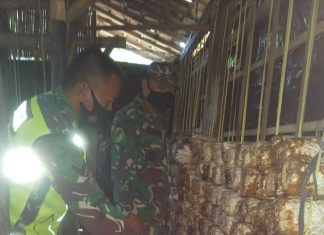 Budidaya Jamur Tiram Menjadi Alternatif Penambah Penghasilan di tengah Pandemi Covid-19 kata Sertu Tamirin.