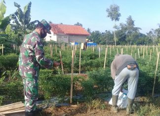 Sertu Heri Beri Motivasi Kepada Petani