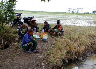 Babinsa Koramil 426-03 Rawajitu Anangsana Dengan Kelompok Tani