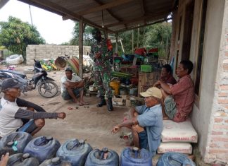 Kehadiran Babinsa sebagai Pendamping Pertanian Menjadi Kebanggaan.