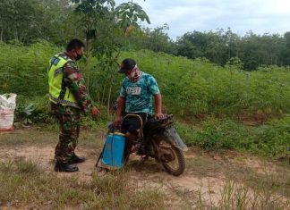 Menambah Wawasan Pertanian Petani Bisa Mengakses Melalui Internet kata Koptu Purwoko.