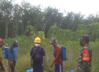 Serda Sugeng Pendampingan Petani Singkong di Wira Agung