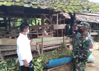 Sertu Rediyanto Kunjungi Warga Peternak Kambing di Wirajaya