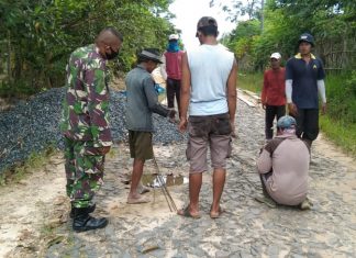 Babinsa Mesuji Monitoring Jalan Desa di Adi Mulyo