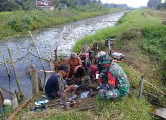 Babinsa Koramil Rawajitu Turun Sawah Bantu Atasi Kesulitan Petani