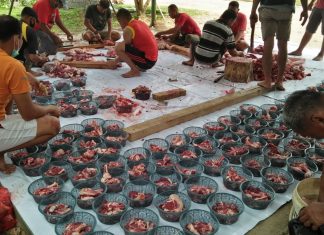 Kodim 0426 Potong 1 Ekor Sapi dan 7 Kambing