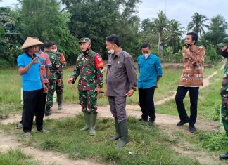Dandim 0426 Turun Langsung ke Sawah Pastikan Program Oplah Berjalan Sesuai Rencana