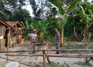 Kodim 0426 Tulang Bawang Mengajak Masyarakat Memanfaatkan Lahan Kosong