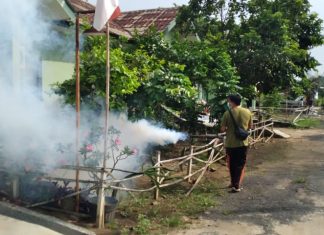 Cegah DBD Kodim 0426 Tuba Lakukan Fogging