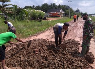 Akibat Curah Hujan Tinggi Sertu Maisi Bersama Warga Perbaiki Jalan Yang Rusak