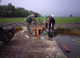Sertu Maisi Dampingi Petani Padi Untuk Berantas Hama Padi