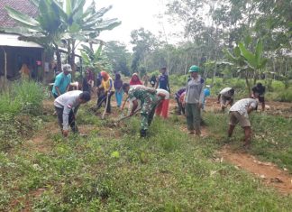 Babinsa Mekar Jaya Selalu Dampingi masyarakat Melaksanakan Gotong Royong Bersihkan Badan Jalan