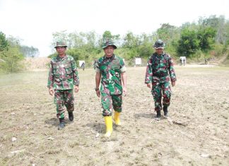 Asah Kemampuan Prajurit Kodim 0426/TB Gelar Latihan Menembak Senjata Ringan TW 1 TA.2022