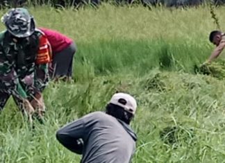Babinsa Kampung Medasari Gelar Gotong Royong Bersama Warga Kampung Setempat