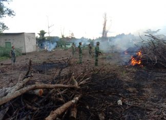 Koramil 426-04/Banjar Agung, Sulap Lahan Kosong Jadi Lahan Produktif