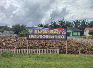 Manfaatkan Lahan Kosong, Koramil 426-01/Sp Siap Jadikan Lahan Produktif