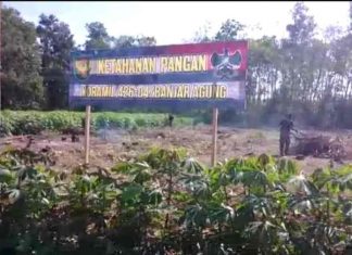 Bersama Masyarakat, Jajaran Koramil 426-04/BA Manfaatkan Lahan Tidur Jadi Lahan Produktif