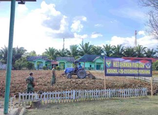Mamfaatkan Lahan Kosong, Koramil 426-01/SP Beri Contoh Cara Mengelola Lahan Agar Produktif
