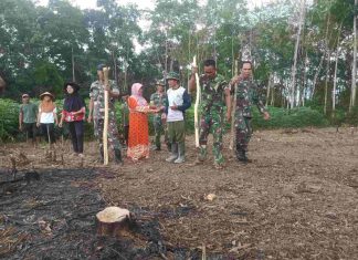 Antisipasi Krisis Pangan, Koramil 426-04 Banjar Agung Tanam Jagung Untuk Masyarakat