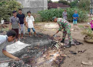 Wujud Keperdulian Babinsa Kepada Masyarakat Binaan, Sertu Muji Bantu Bersihkan Puing Pasca Kebakaran