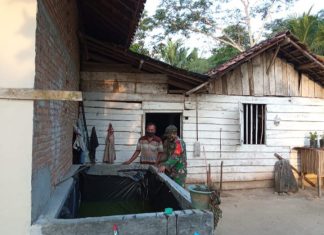 Babinsa 426-05/Penawar Aji, Ajak Masyarakat Mampaatkan Lahan Kosong Jadi Sumber Pendapatan