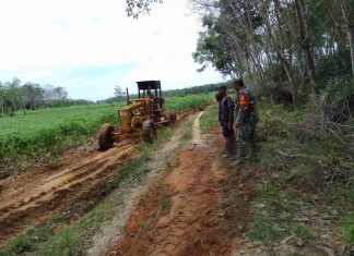 Babinsa Koramil 426-01/SP, Monitoring Pembangunan Jalan Menuju Perkebunan