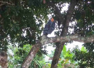 Melalui Komsos, Babinsa Koramil 426-03/Rwj Ajak Warga Kompak Jaga Kebersihan Lingkungan