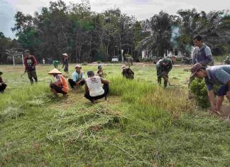 Peduli Sarana Olahraga, Serda Madsudin Gelar Gotong Royong Bersihkan Lapangan Bola