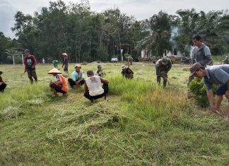 Babinsa Koramil 426-01/ Simpang Pematang, Melaksanakan Gotong Royong