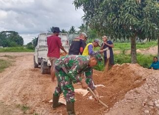 Babinsa Koramil 426-03/Rawajitu Bersama Warga Melaksanakan Karya Bakti Penimbunan Jalan