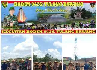 Panen Jagung, Kodim 0426 Tulang Bawang Lakukan Panen Jagung Di lahan Seluas 1,6 Hektar