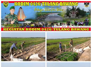 Wujudkan Ketahanan Pangan, Babinsa Koramil 426-05 Penawar Aji Dampingi Petani Menanam Cabe