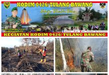 Kendalikan Api, Babinsa Koramil 426-01 Simpang Pematang Padamkan Api Dengan Alat Seadanya