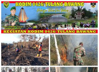 Kendalikan Api, Babinsa Koramil 426-01 Simpang Pematang Padamkan Api Dengan Alat Seadanya