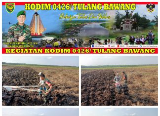 Jaga Ketahanan Pangan, Babinsa Koramil 426-05 Penawar Aji Bantu Petani Membajak Sawah