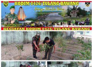 Babinsa Koramil 426-05 Penawar Aji Membantu Petani Dalam Perawatan Tanaman Cabe