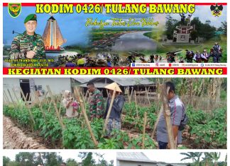 Koptu Purwoko Melaksanakan Komsos Pertanian Di Lahan Sayuran Pepaya Dan Cabai