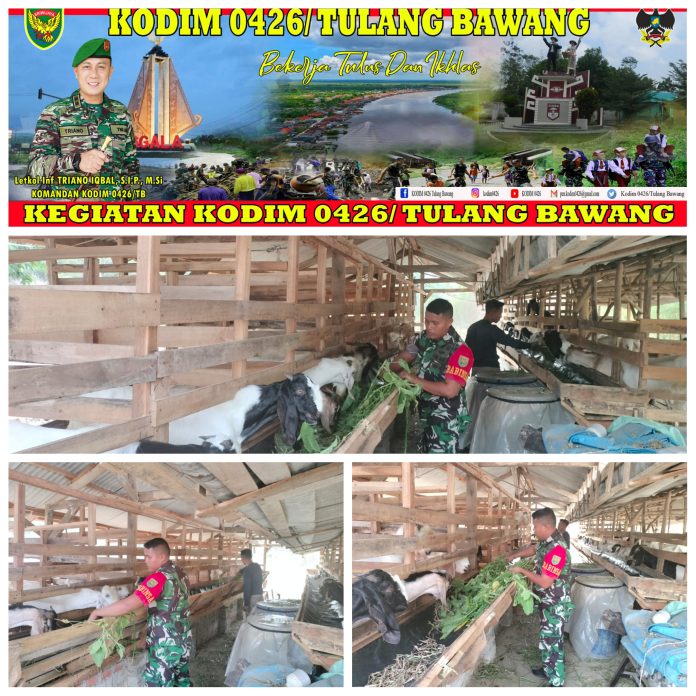 PhotoGrid_Site_1698810930781