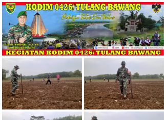 Jaga Ketahanan Pangan, Babinsa Koramil 426-04 Banjar Agung Bantu Warga Tanam Jagung