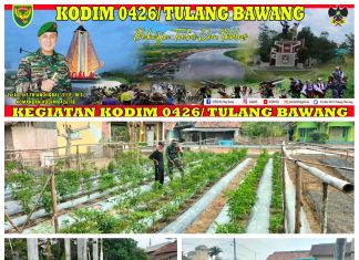 Babinsa Koramil 426-04 Banjar Agung Melaksanakan Komsos Ketahanan Pangan Di Kebun Warga Binaannya