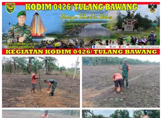 Melaksanakan Monitoring Ketahanan Pangan Di wilayah Binaannya Serda Widi Handoko Melakukan Pendampingan Penanam Padi