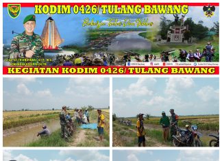 Dukung Ketahanan pangan Babinsa Koramil 426-03 Rawajitu Turun Ke Sawah Melaksanakan Pendampingan Kepada Petani