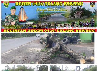Babinsa Koramil 426-04 Banjar Agung Bersama Warga Membersihkan Pohon Tumbang Di Jalan