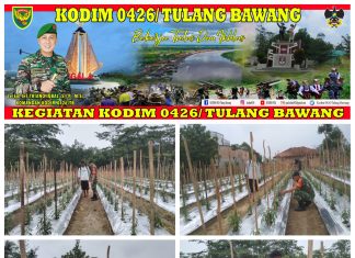 Babinsa Koramil 426-04 Banjar Agung Laksanakan Pendampingan Kepada Petani Cabe Dalam Pemupukan